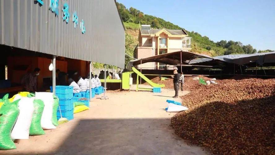 委托中国农机院油脂所按照现代化食用油加工工厂建造,包括山茶籽预